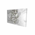 Fondo 12 x 18 in. Delicate White Chrysanthemum-Print on Canvas FO2787694
